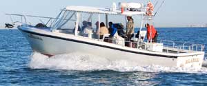 Fishing Naples FL